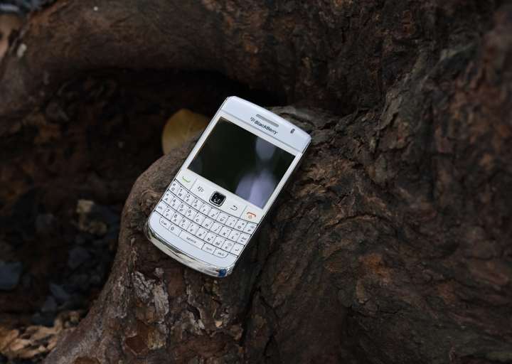 A white Blackberry phone lying on a tree.